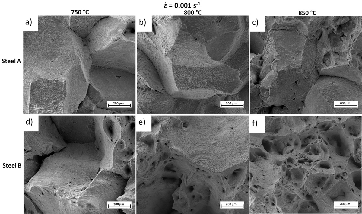Fig. 4 Refer to the following caption and surrounding text.