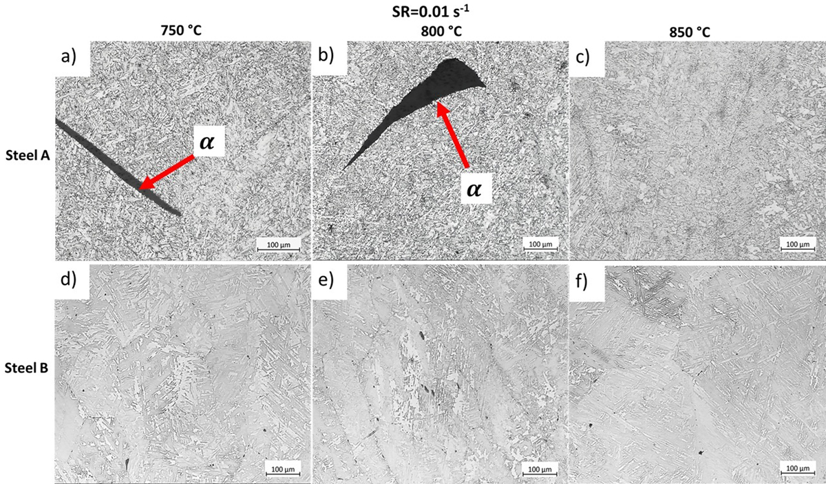 Fig. 5 Refer to the following caption and surrounding text.
