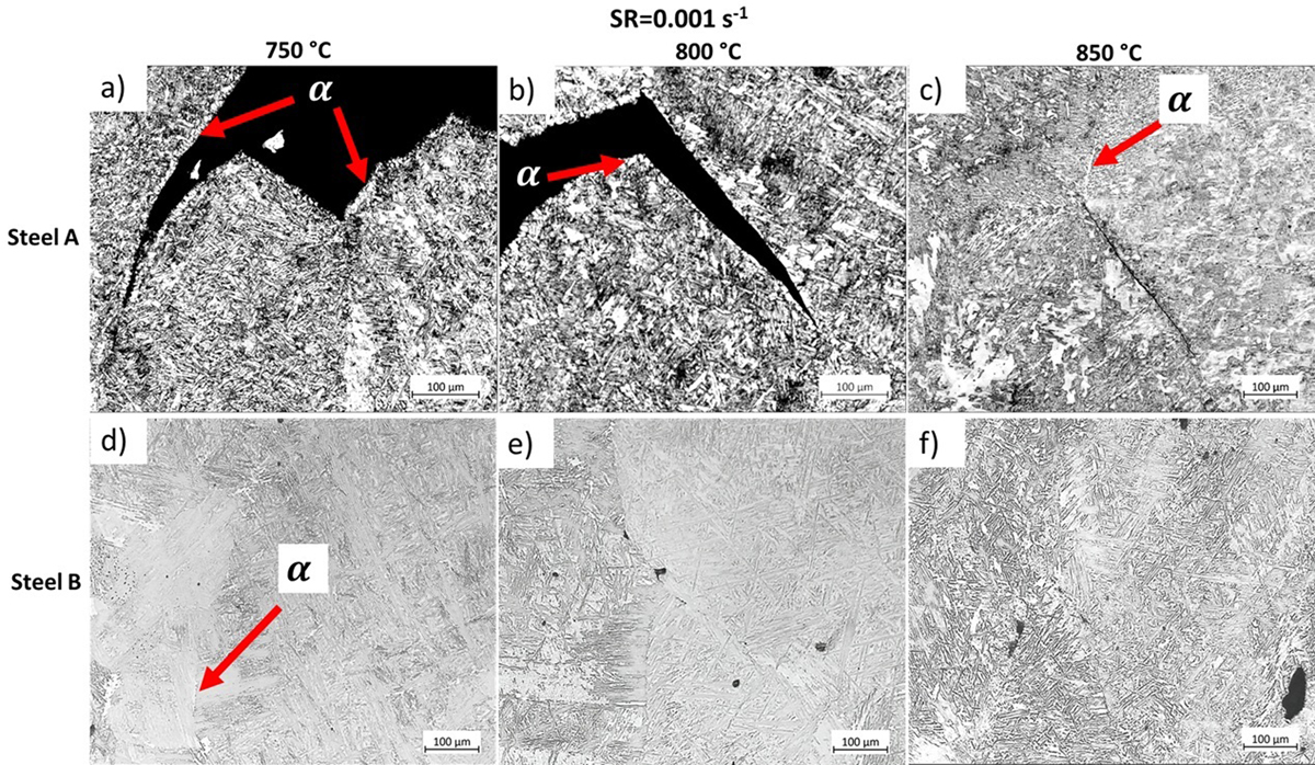 Fig. 6 Refer to the following caption and surrounding text.