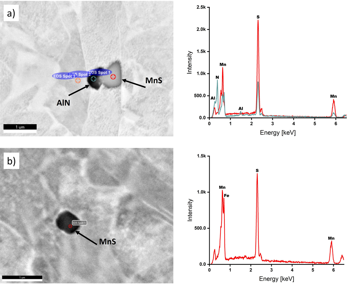 Fig. 7 Refer to the following caption and surrounding text.