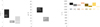 Thumbnail: Fig. 6 Refer to the following caption and surrounding text.